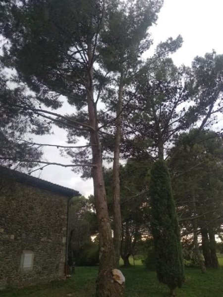 Chantier baudet   photo 2