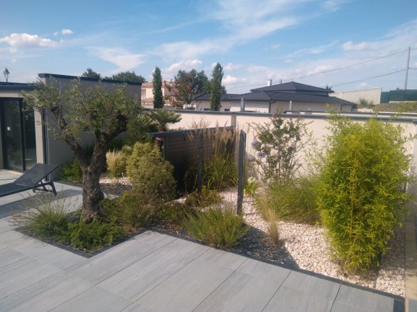 Img_20170726_164748 (1)